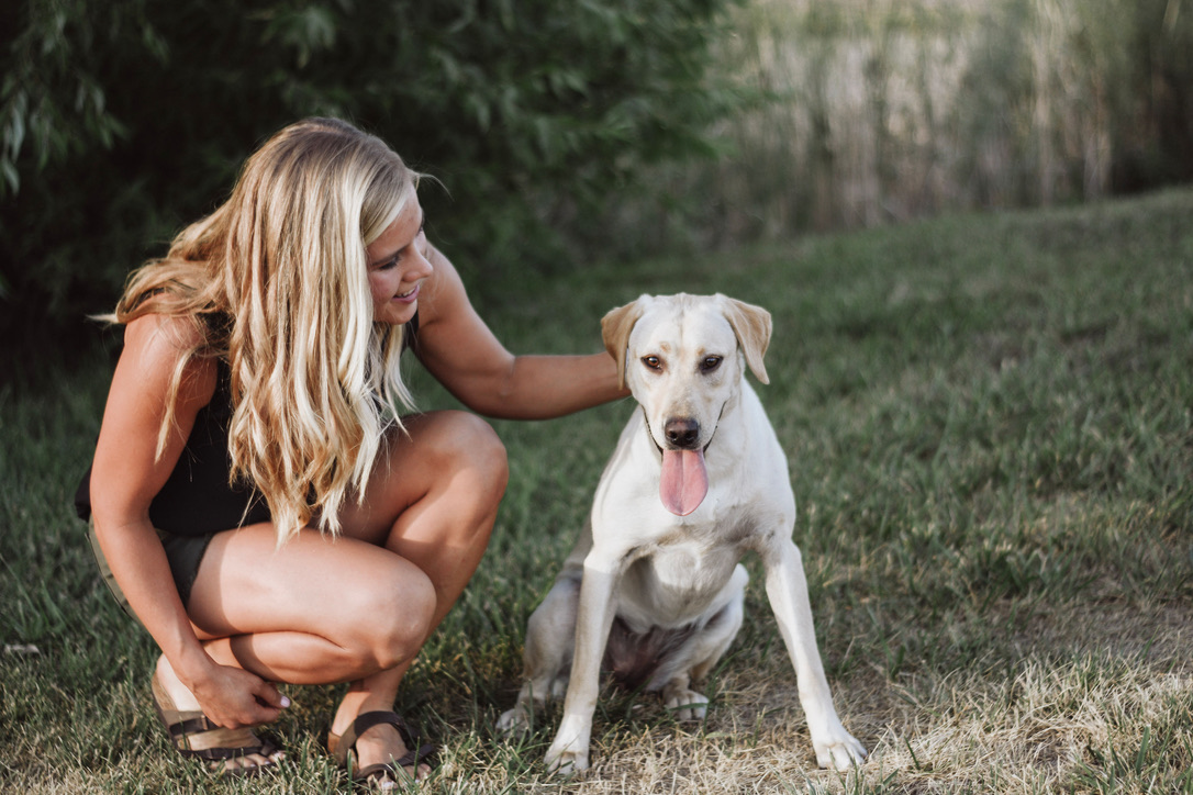 Private dog training session