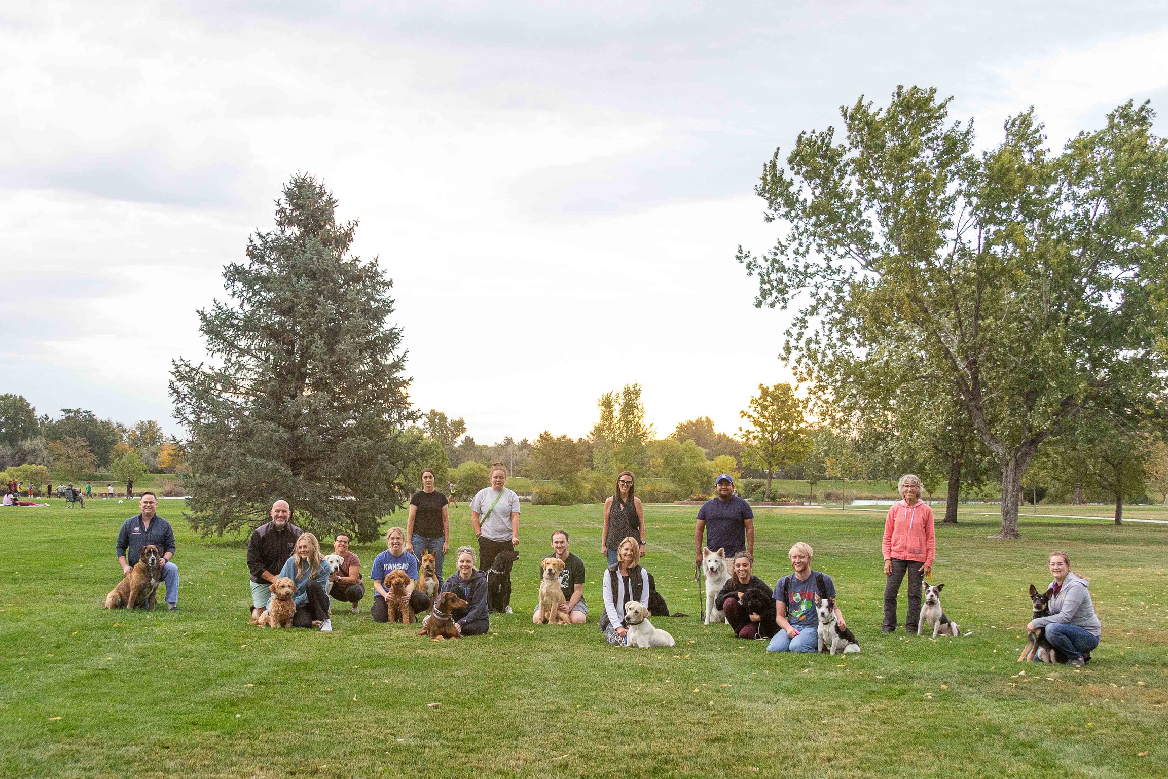 Group dog training class with multiple dogs and owners in a park setting