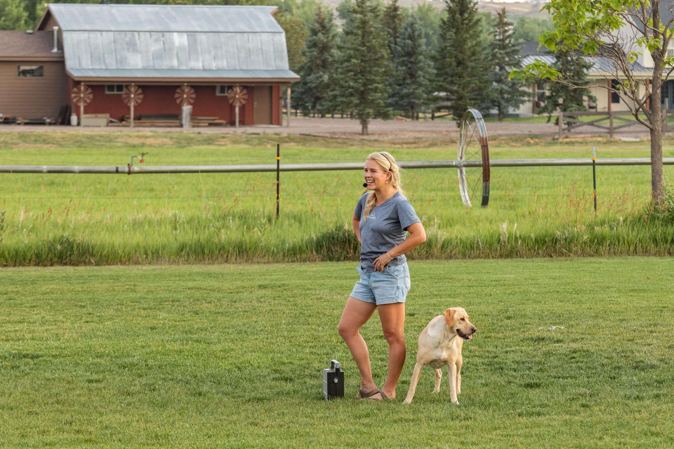Professional dog training Greeley Colorado with well-trained dog