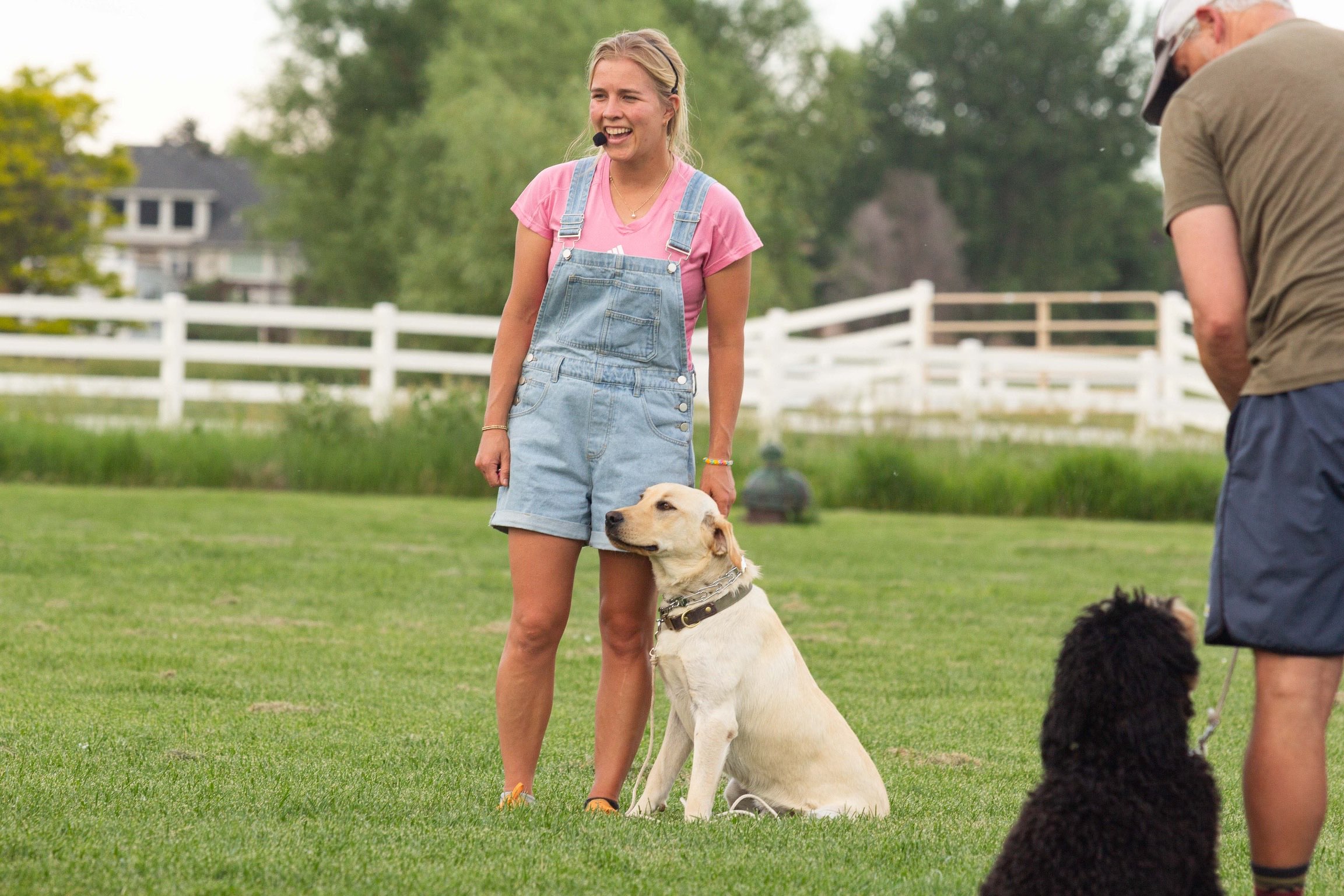 Alli training dogs in a farm setting - professional dog trainer with well-behaved lab